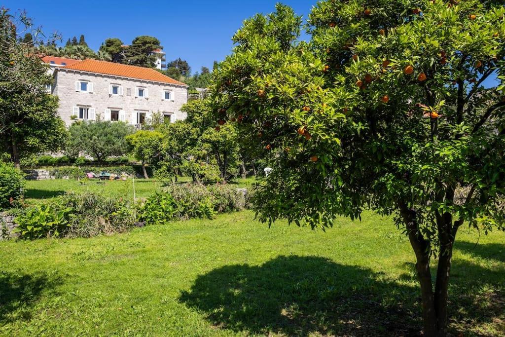 Heritage Villa Bakovic Dubrovnik Eksteriør bilde